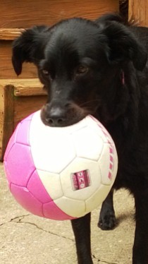 Lucy with Soccer Ball